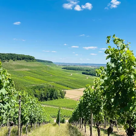 Apartment Appartments - Stromberg & Zabergaeu *